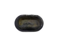 GM 20880973 Lock Rod Grommet