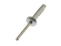 GM 11516936 License Bracket Rivet