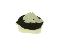 GM 11588882 Applique Clip, Rear