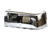 GM 15284305 End Cap, Driver Side