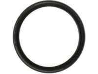 GM 12591866 Rear Main Seal, Green Line
