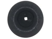 GM 15765071 Spring Insulator, Rear