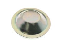 GM 23203672 Grease Cap, Front
