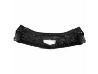 GM 84165544 Molding, Lower