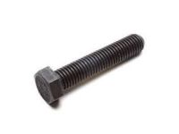 GM 11612276 Torsion Arm Adjust Bolt