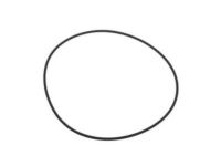 GM 15839520 Cover Seal
