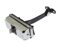 GM 15828957 Door Check, Rear Lower Passenger Side