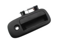 GM 84084710 Handle, Outside