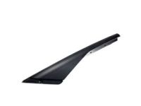 GM 84378412 Applique Panel, Black Chrome, Rear