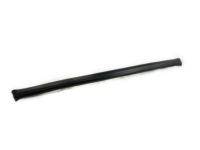 GM 15724145 Side Molding, Driver Side