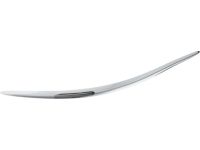 GM 15276881 Molding, Passenger Side