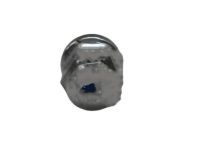GM 84185596 Cap, Body Interior Trim, Rear Upper