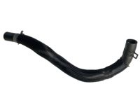 GM 15954110 Hose, Heater