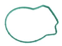 GM 12580395 Gasket, Green Line