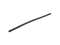 GM 15785352 Glass Weatherstrip, Front Driver Side
