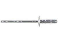 GM 9132667 Bumper Cover Rivet