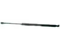 GM 20990086 Lift Cylinder, Passenger Side