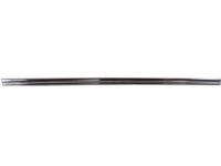 GM 25641011 Side Molding, Front Center