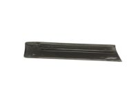GM 15176396 Body Side Molding, Rear Driver Side