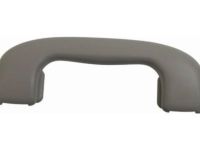 GM 15924263 Grip Handle, Titanium, Rear