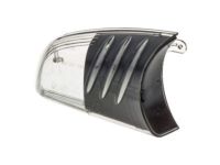 GM 19120868 Lens, Passenger Side