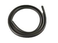 GM 19260468 Door Weatherstrip, Titanium