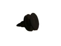 GM 11547005 Sight Shield Retainer