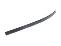GM 84293174 Roof Trim, Black, Driver Side