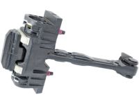 GM 25785843 Door Check, Rear Lower