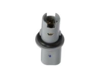 GM 25794790 Socket, Rear