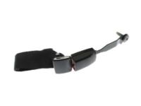 GM 19177725 Lap Belt, Rear