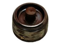 GM 23049841 Plug, Transmission Case