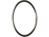 GM 24505057 Gasket Seal