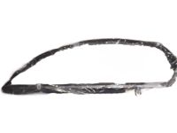 GM 22751685 Run Channel, Front Outer Driver Side