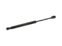 GM 15853888 Lift Cylinder, Green Line, Rear