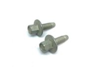 GM 11610041 Bolt, Rear Compartment Lid And End Gate