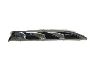 GM 22978989 Ornament, Front Driver Side