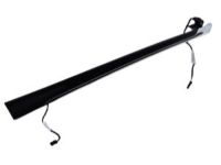 GM 22795516 Molding, Front Driver Side