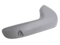 GM 19126810 Side Cover, Front Passenger Side