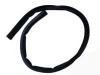 GM 96991919 Rear Weatherstrip