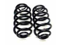 GM 22731053 Coil Spring, Rear