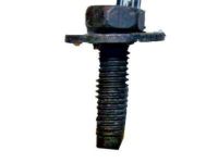 GM 11561031 Radiator Bolt