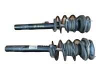 GM 25876861 Spring, Front