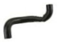 GM 30027979 Upper Hose