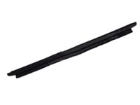 GM 15136067 Belt Weatherstrip, Rear Outer Driver Side