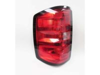 GM 84288722 Tail Lamp Assembly, Rear Driver Side