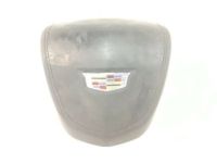 GM 23381513 Driver Inflator Module, Jet Black