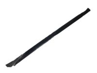 GM 19259794 Reveal Molding, Passenger Side