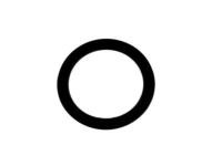 GM 12580720 Seal, Emission System