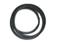 GM 20944489 Weatherstrip, Rear
